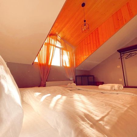 Villa Kazbegi Казбеги Екстериор снимка